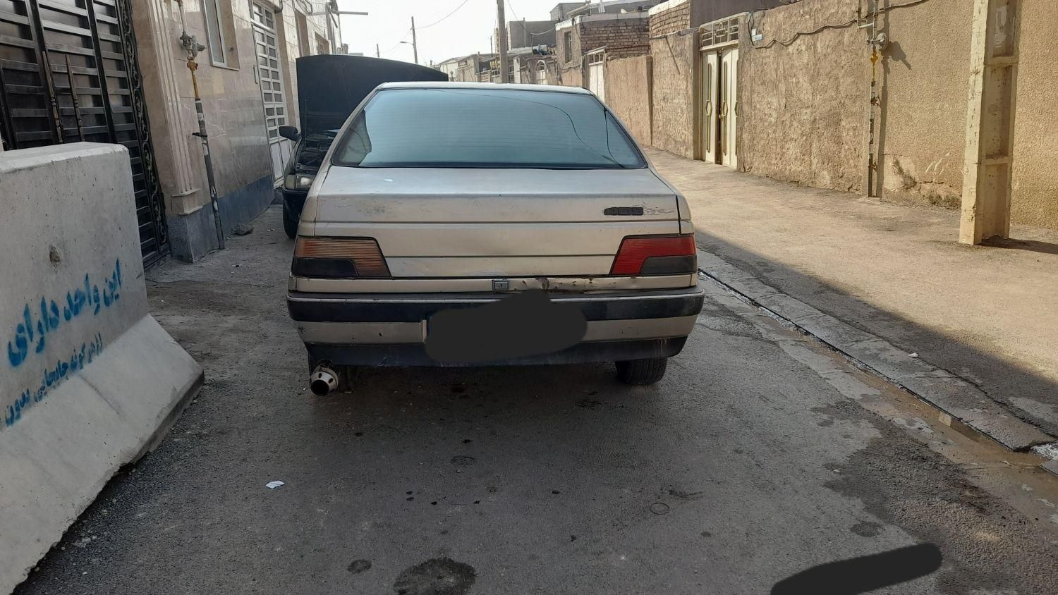 پژو 405 GL - دوگانه سوز CNG - 1373