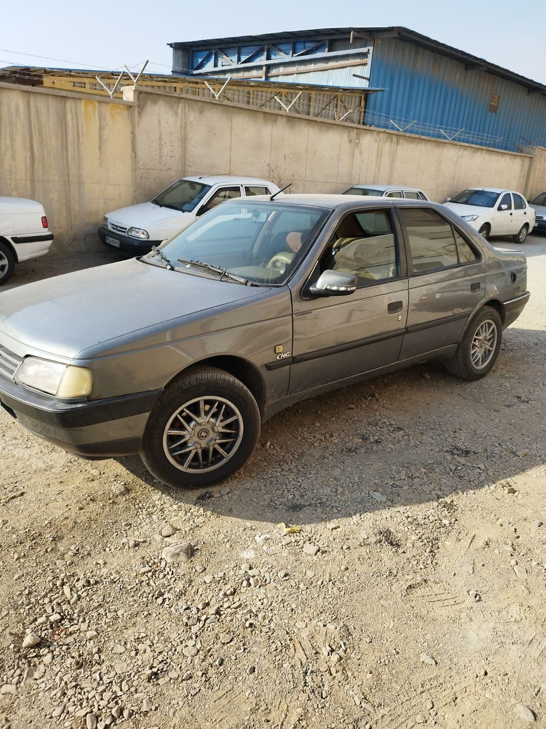 پژو 405 GL - دوگانه سوز CNG - 1372