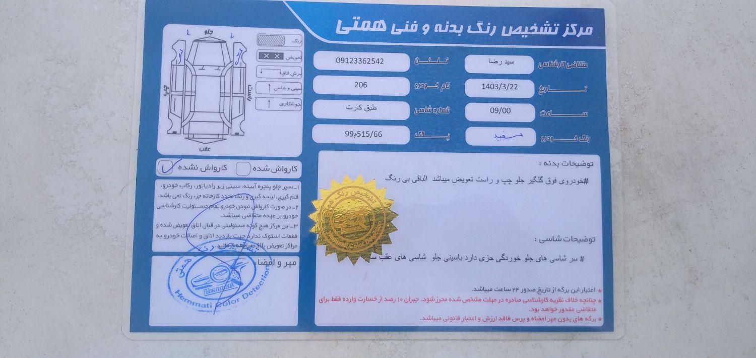 پژو 206 تیپ 2 - 1389