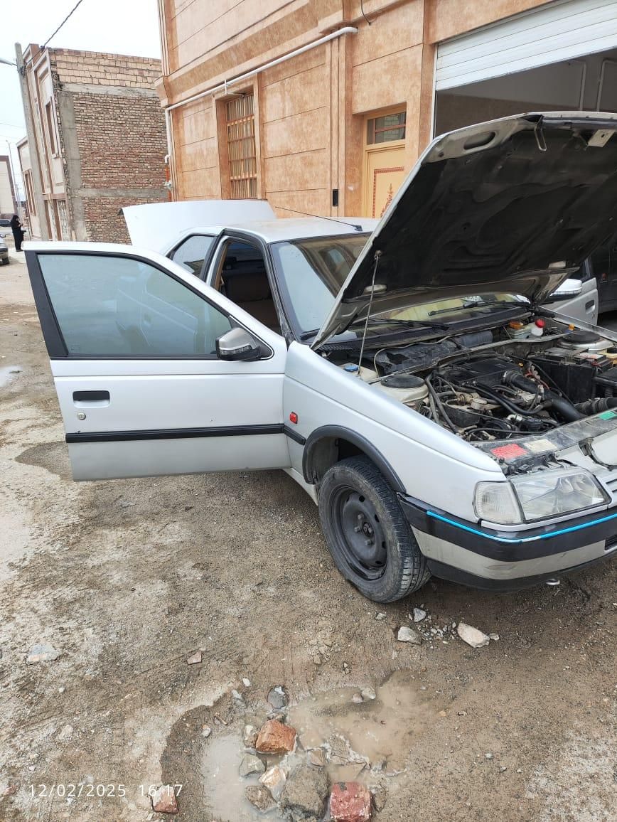 پژو 405 GL - دوگانه سوز CNG - 1369