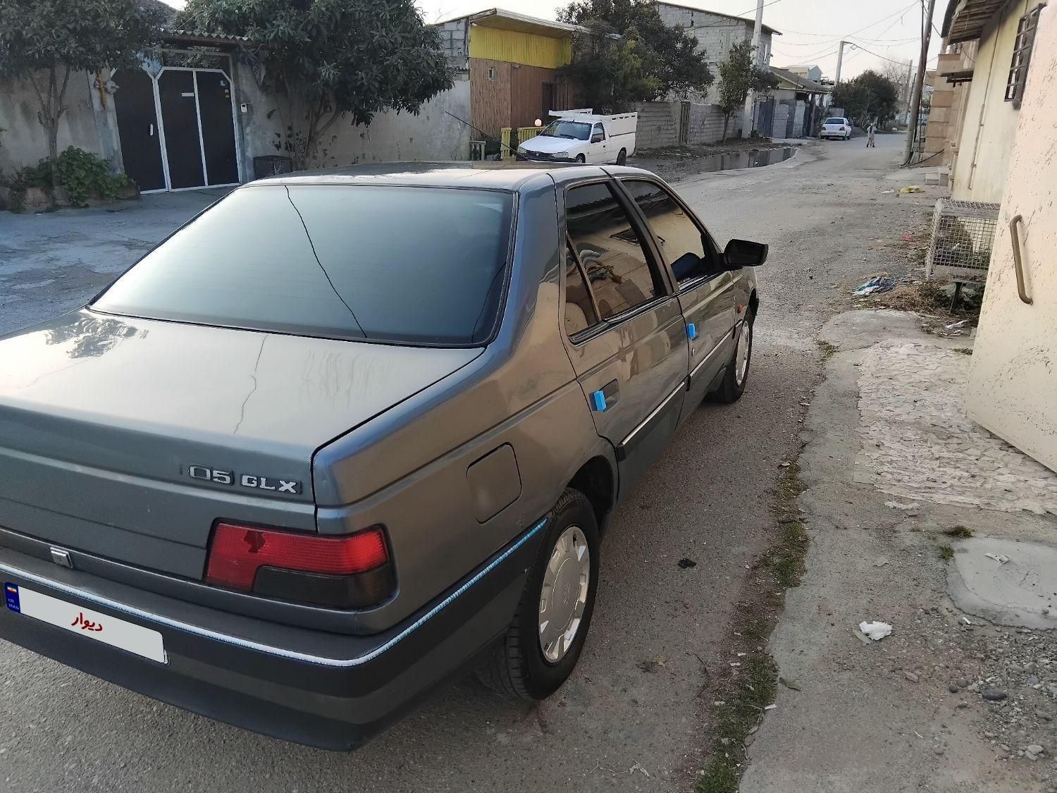 پژو 405 GL - دوگانه سوز CNG - 1369