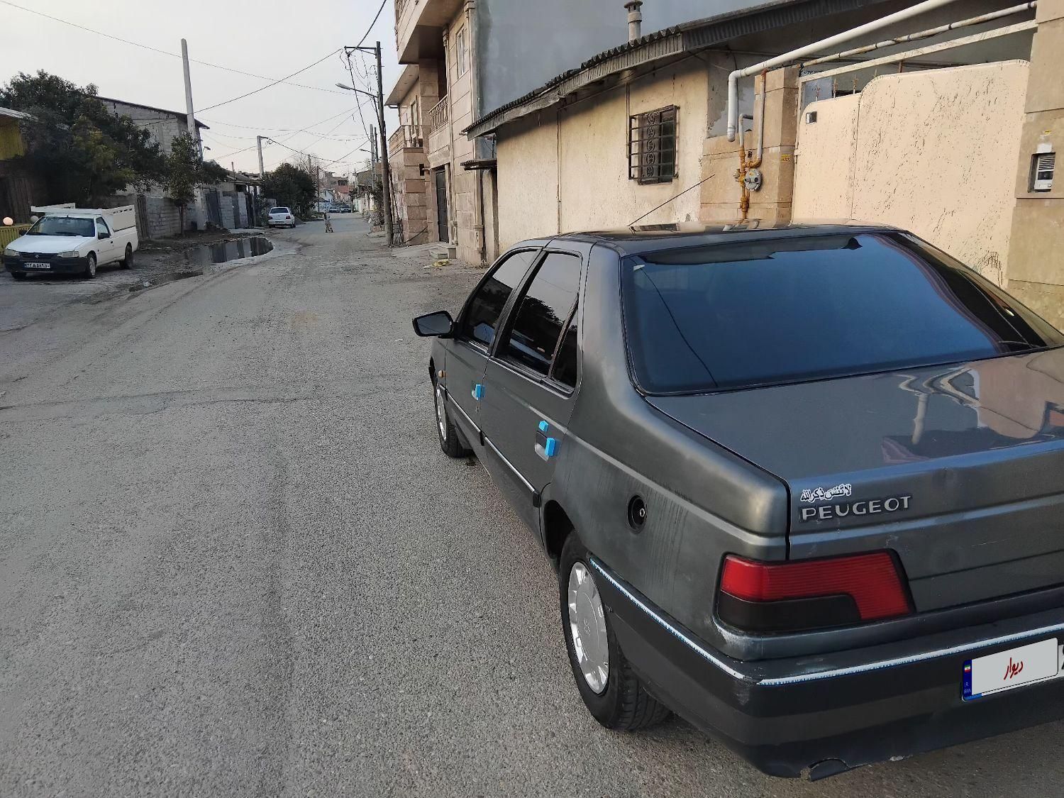 پژو 405 GL - دوگانه سوز CNG - 1369