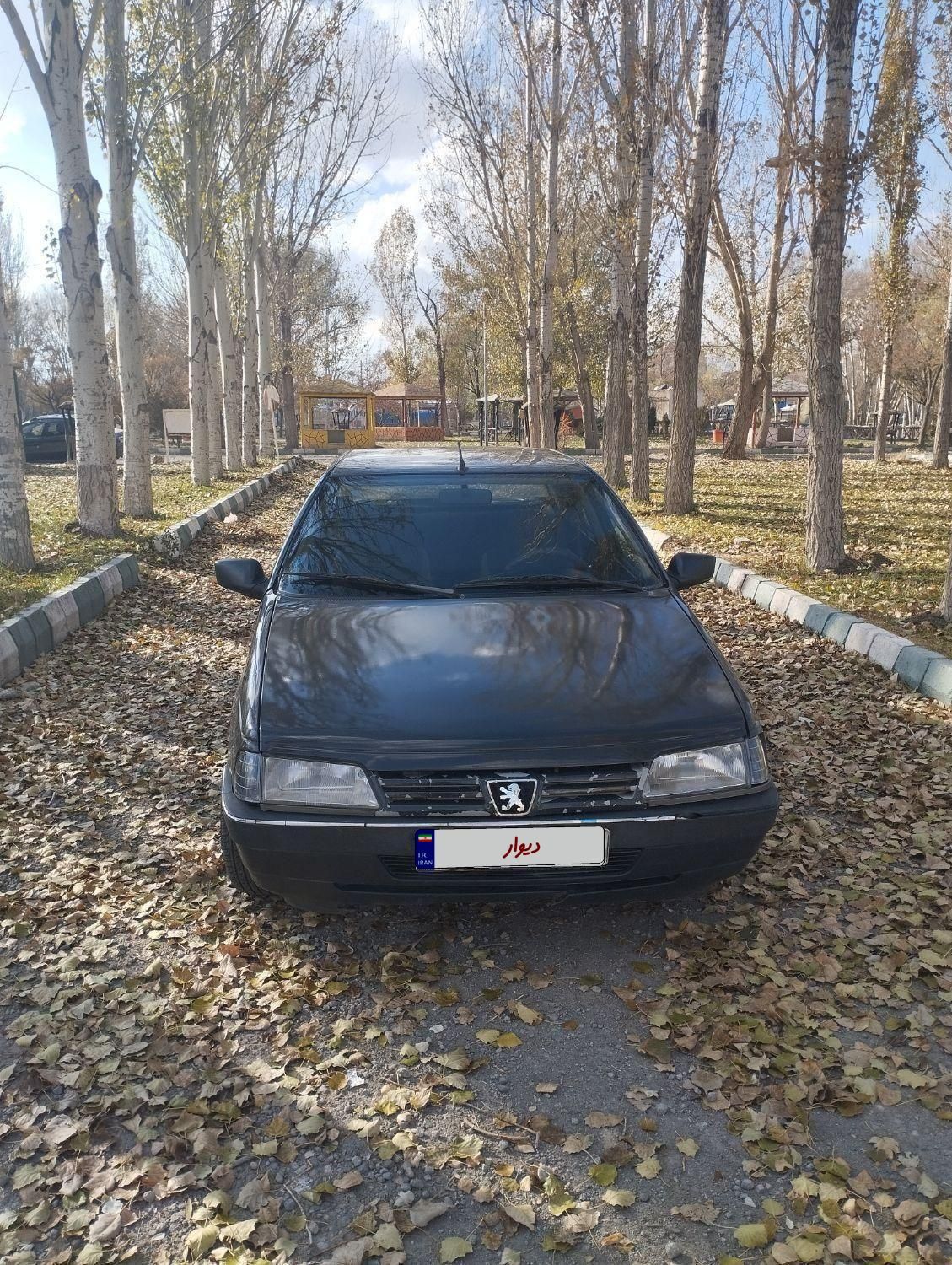 پژو 405 GLI - دوگانه سوز CNG - 1384