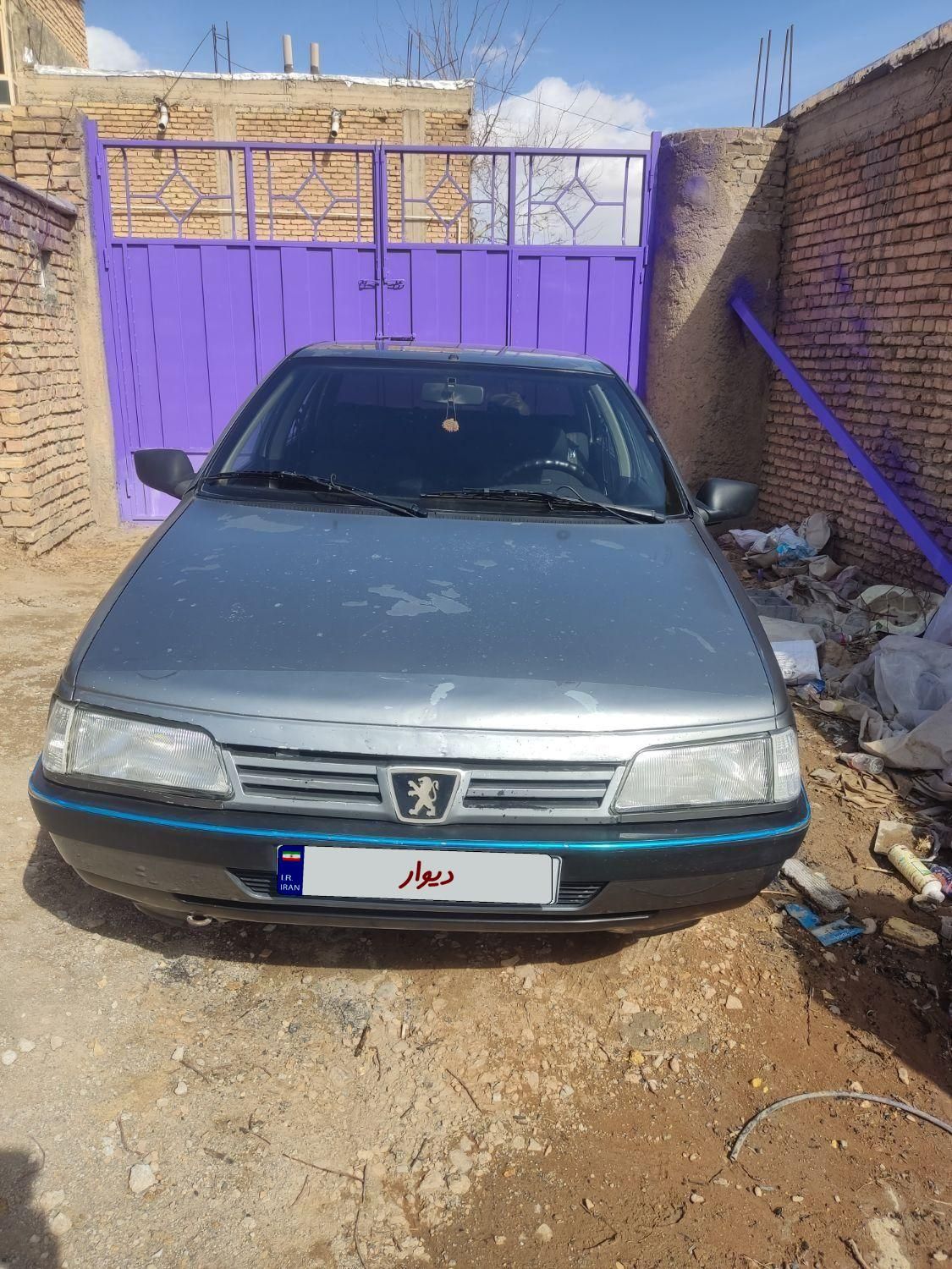 پژو 405 GL - دوگانه سوز CNG - 1369