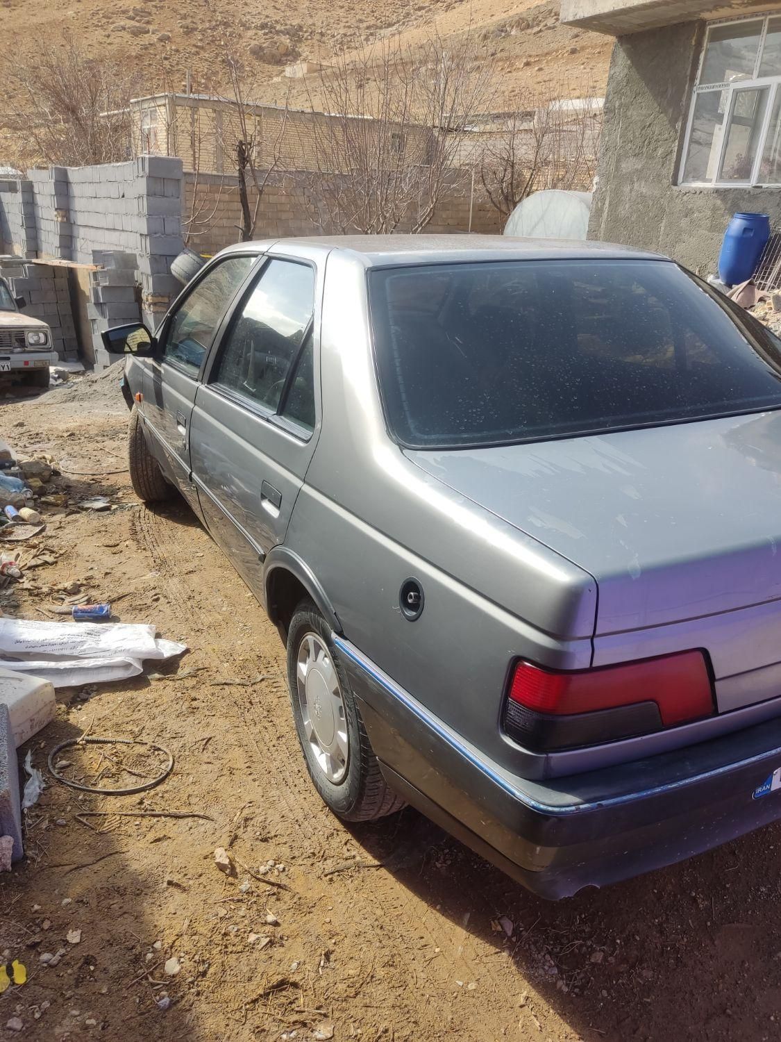 پژو 405 GL - دوگانه سوز CNG - 1369