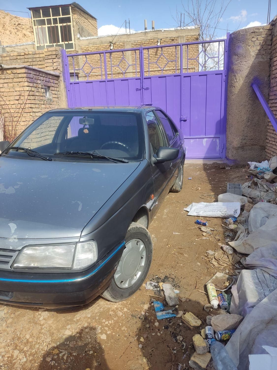 پژو 405 GL - دوگانه سوز CNG - 1369