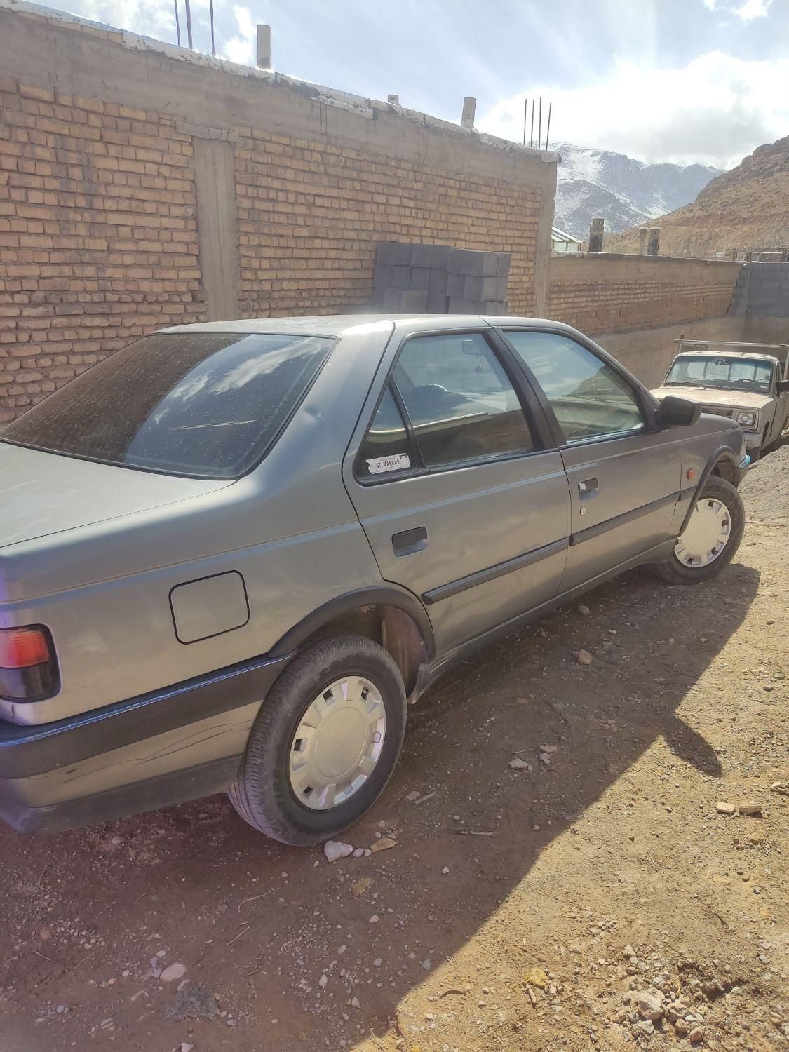 پژو 405 GL - دوگانه سوز CNG - 1369