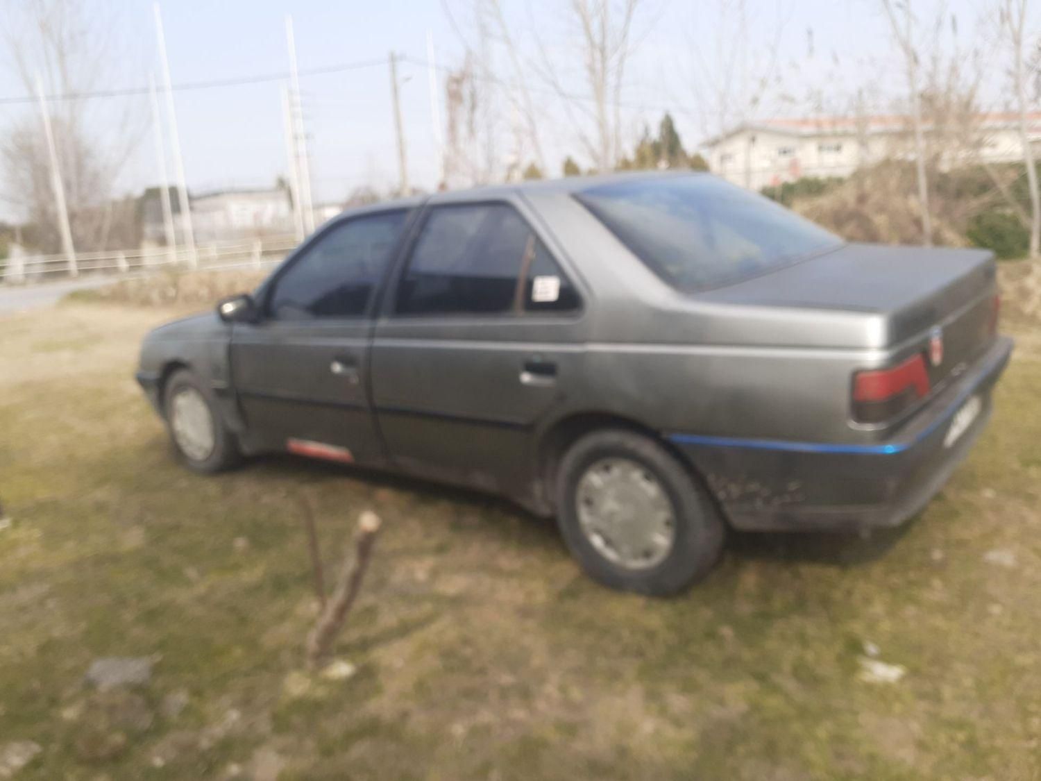 پژو 405 GL - دوگانه سوز CNG - 1373