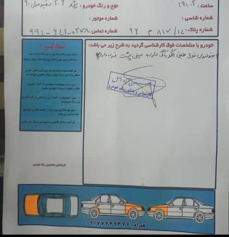 پژو 206 تیپ 2 - 1391