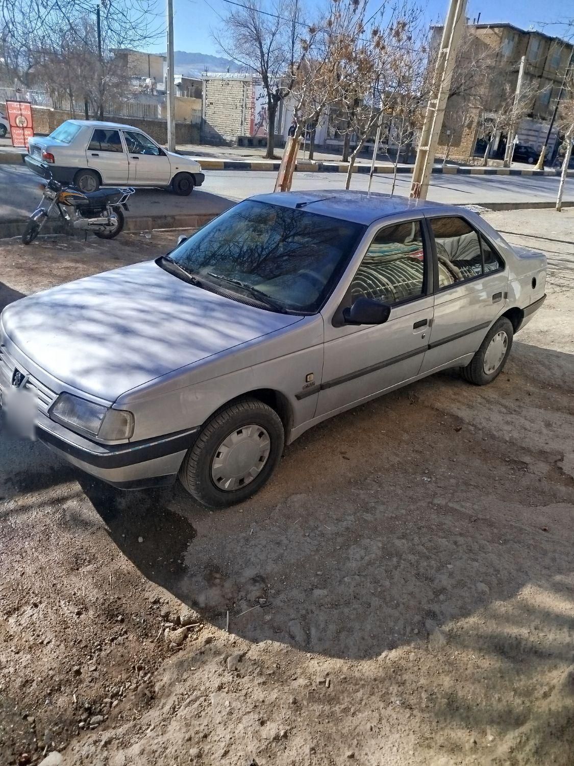 پژو 405 GL - دوگانه سوز CNG - 1369