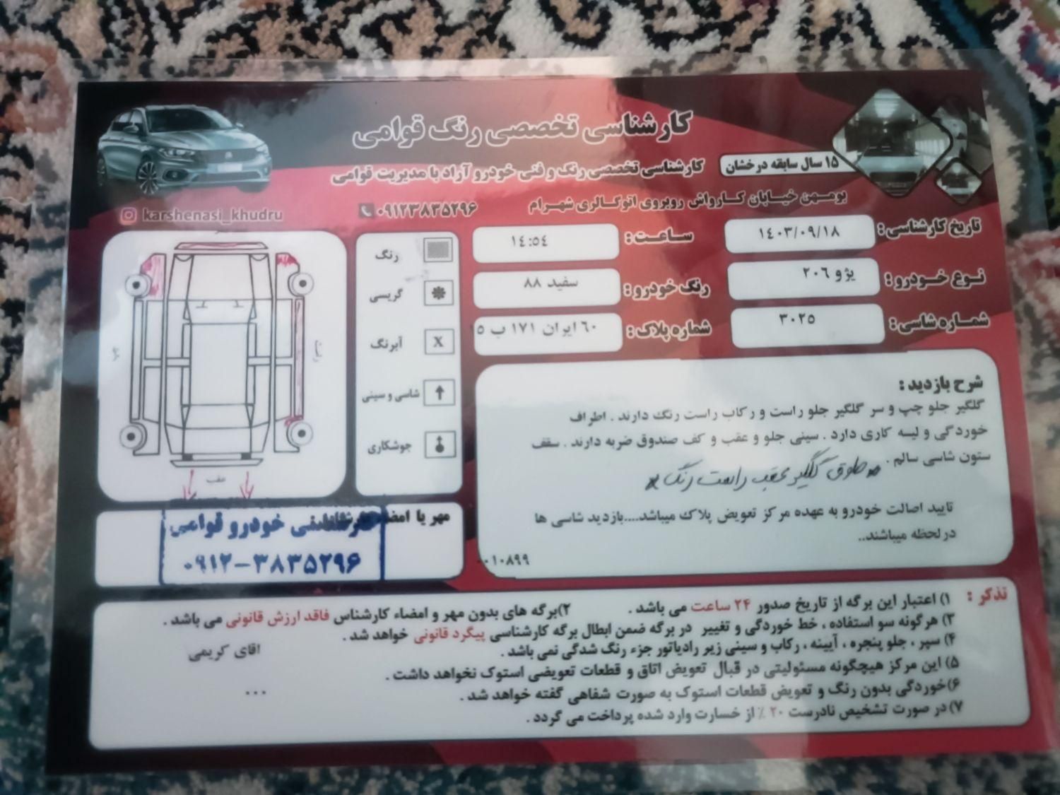 پژو 206 تیپ 2 - 1388