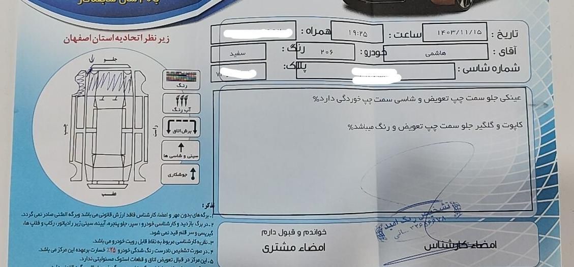 پژو 206 تیپ 2 - 1401