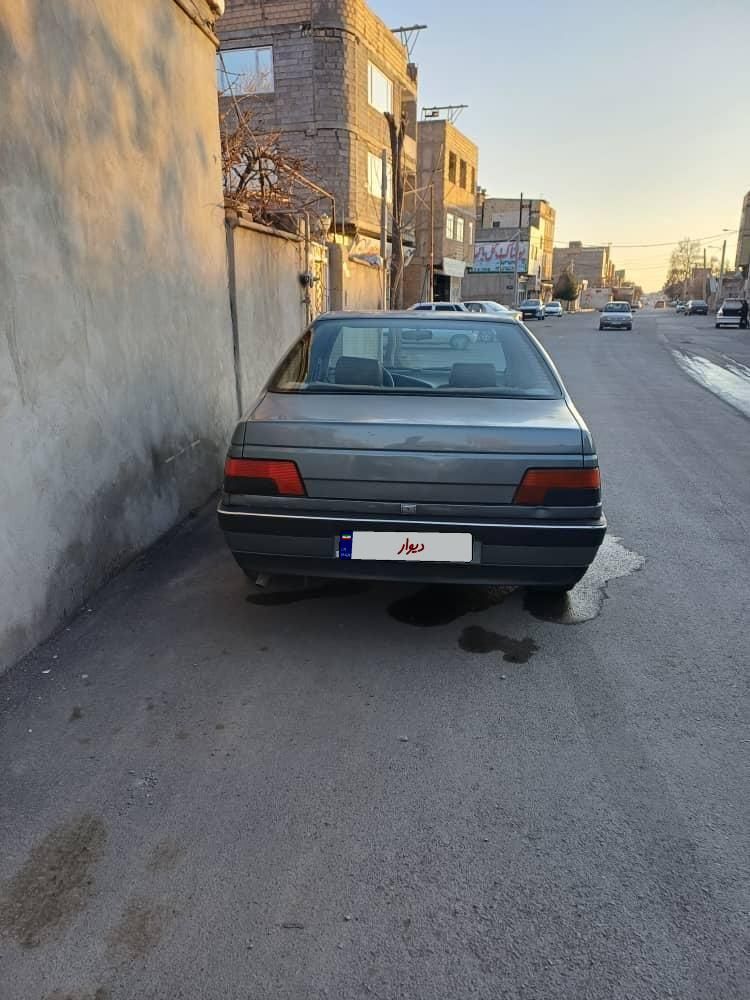 پژو 405 GL - دوگانه سوز CNG - 1369