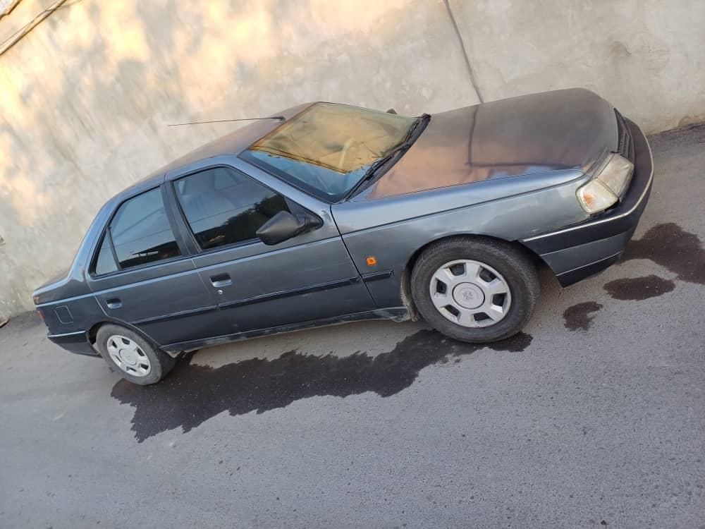 پژو 405 GL - دوگانه سوز CNG - 1369