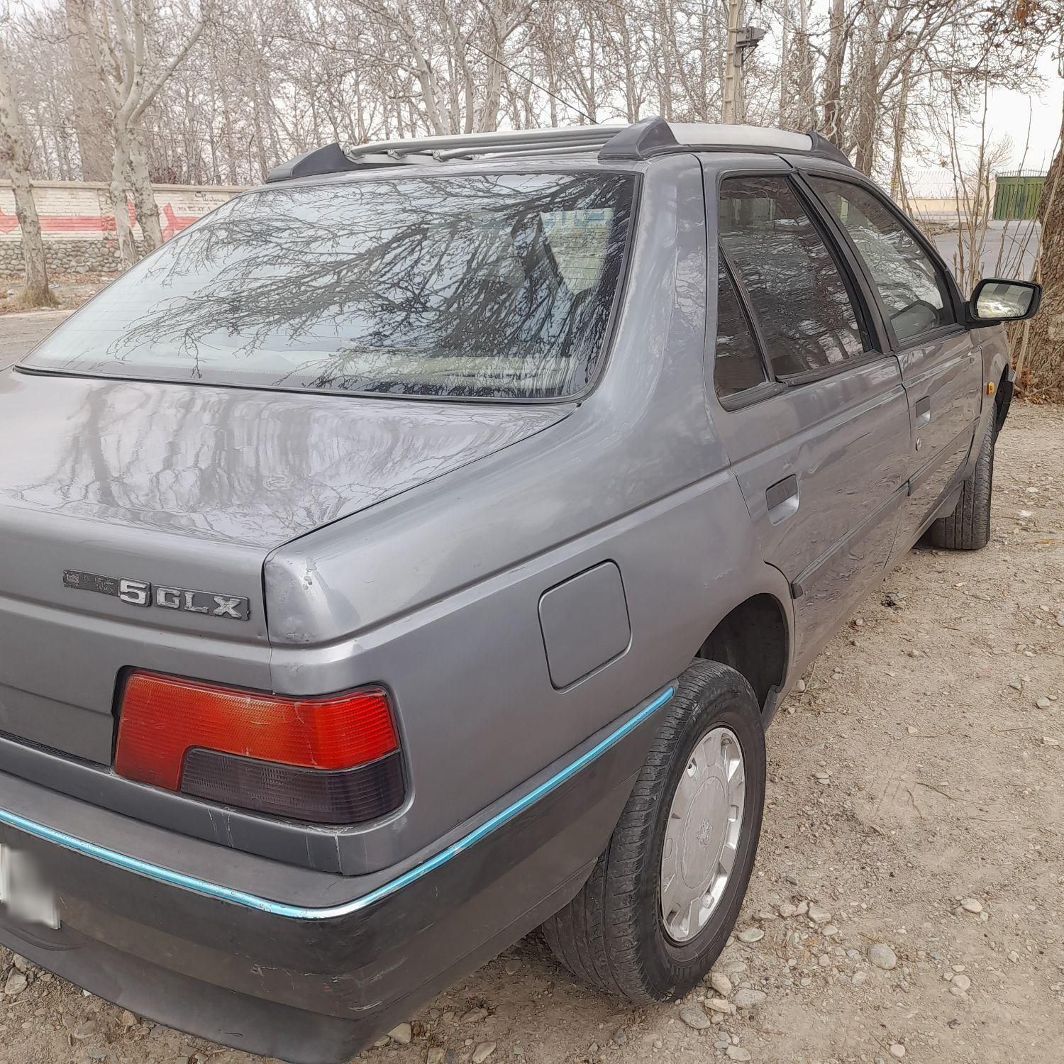 پژو 405 GL - دوگانه سوز CNG - 1371