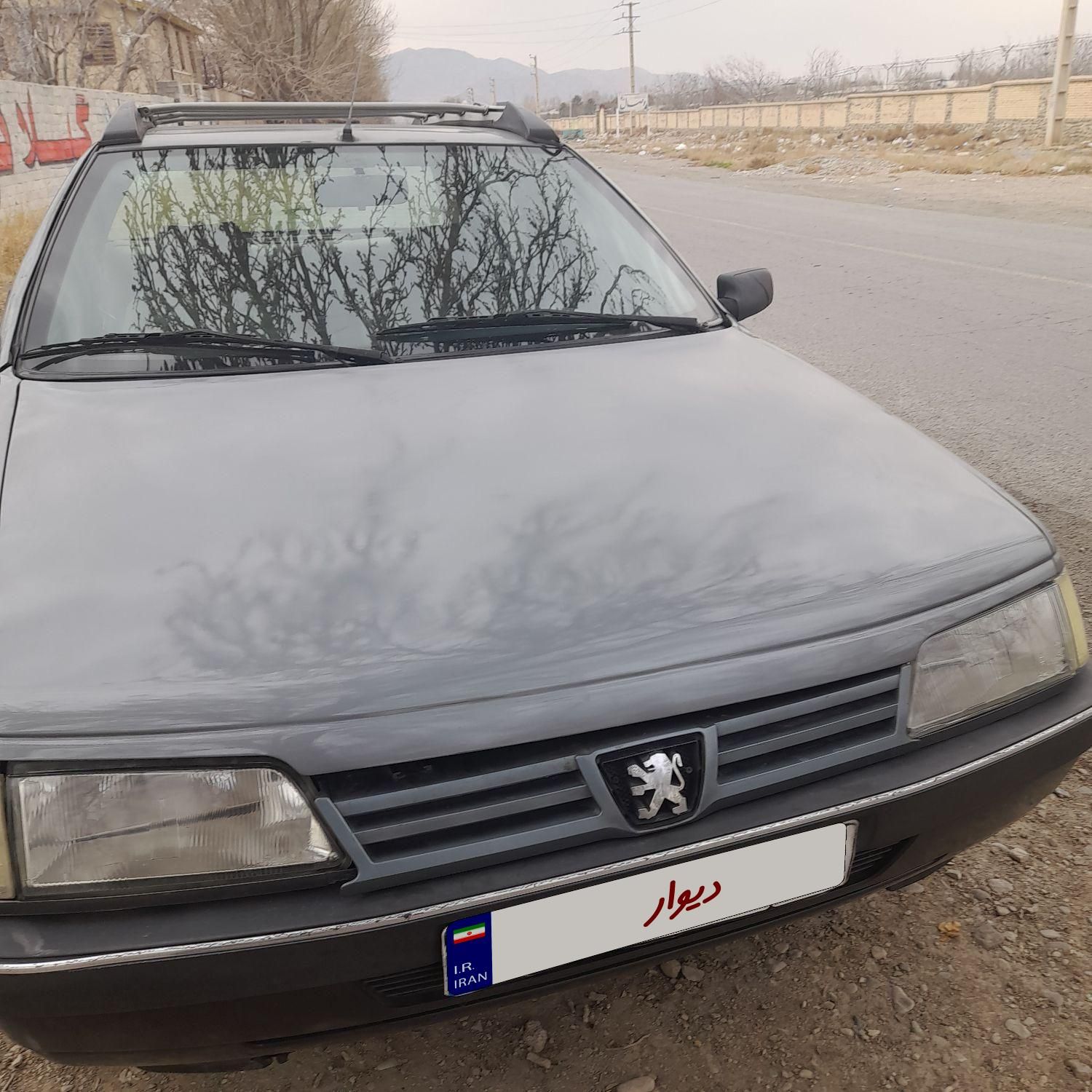 پژو 405 GL - دوگانه سوز CNG - 1371