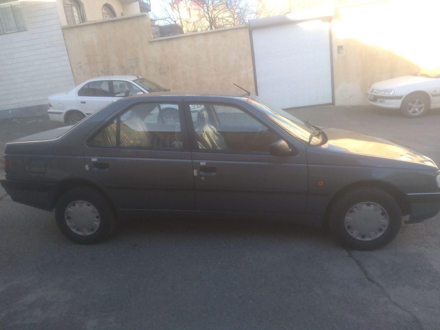 پژو 405 GL - دوگانه سوز CNG - 1369