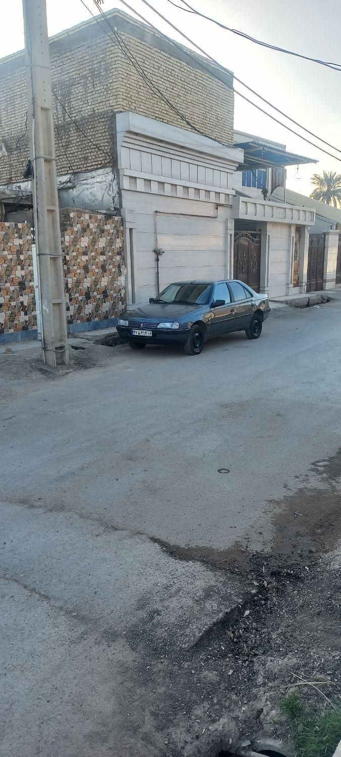 پژو 405 GL - دوگانه سوز CNG - 1369