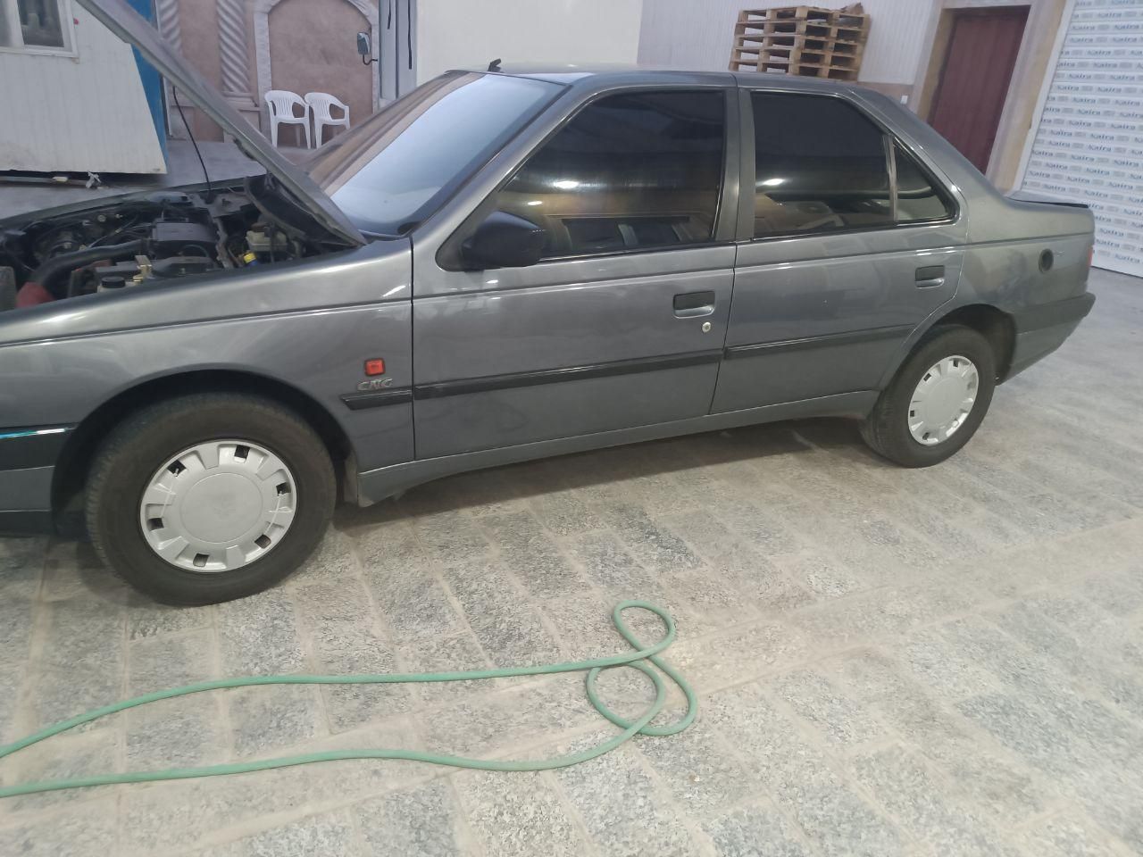 پژو 405 GL - دوگانه سوز CNG - 1369