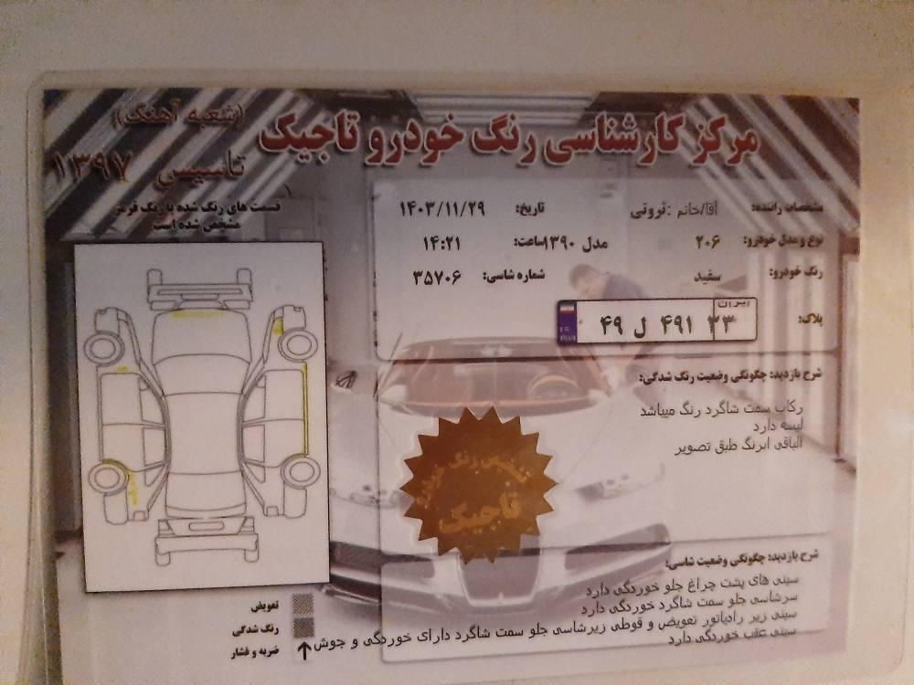 پژو 206 تیپ 2 - 1390