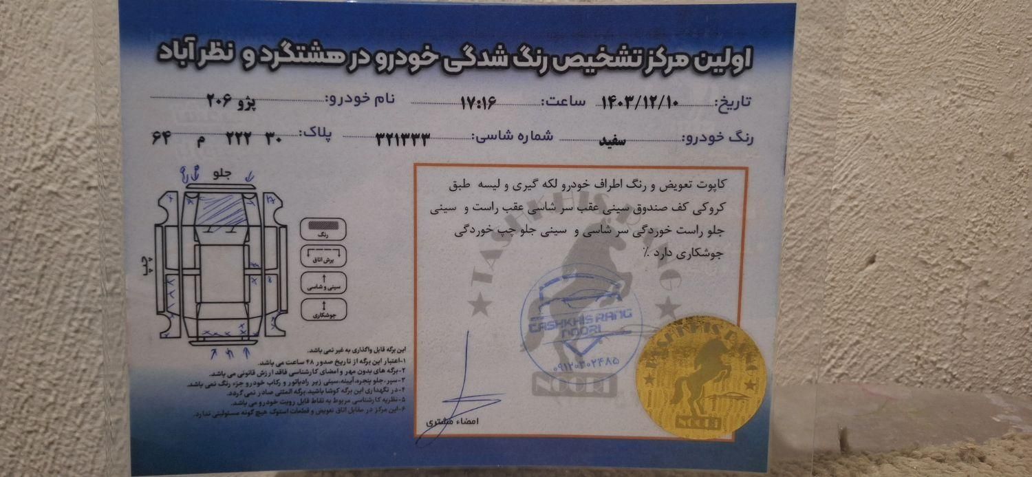 پژو 206 تیپ 5 - 1394