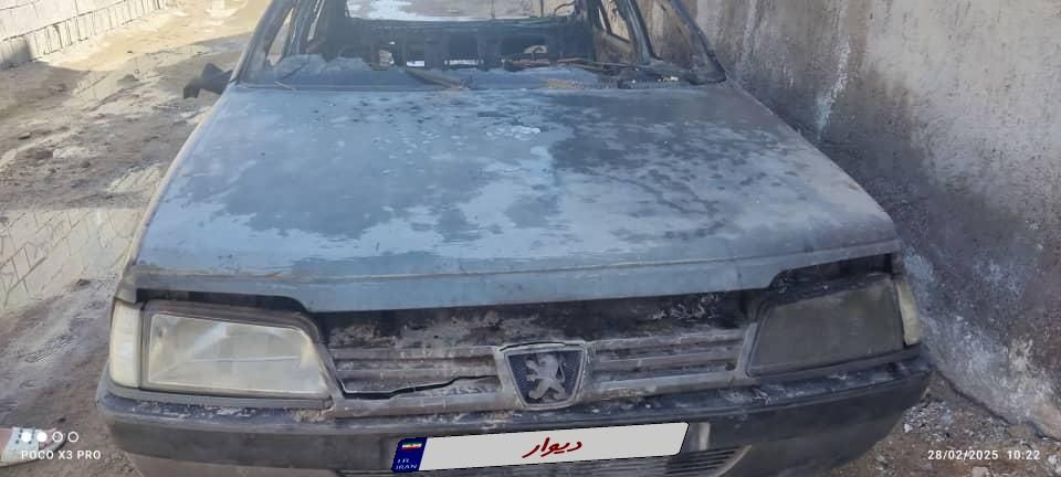 پژو 405 GL - دوگانه سوز CNG - 1373