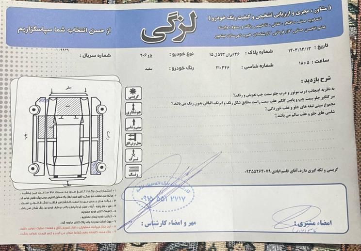 پژو 206 تیپ 3 - 1394