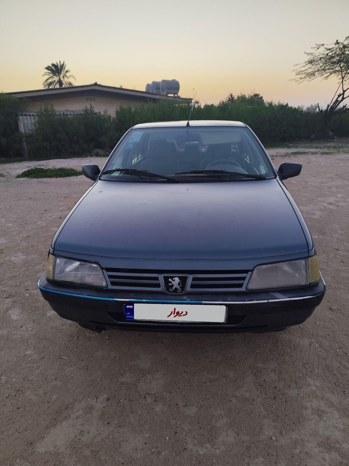 پژو 405 GLI - دوگانه سوز CNG - 1386