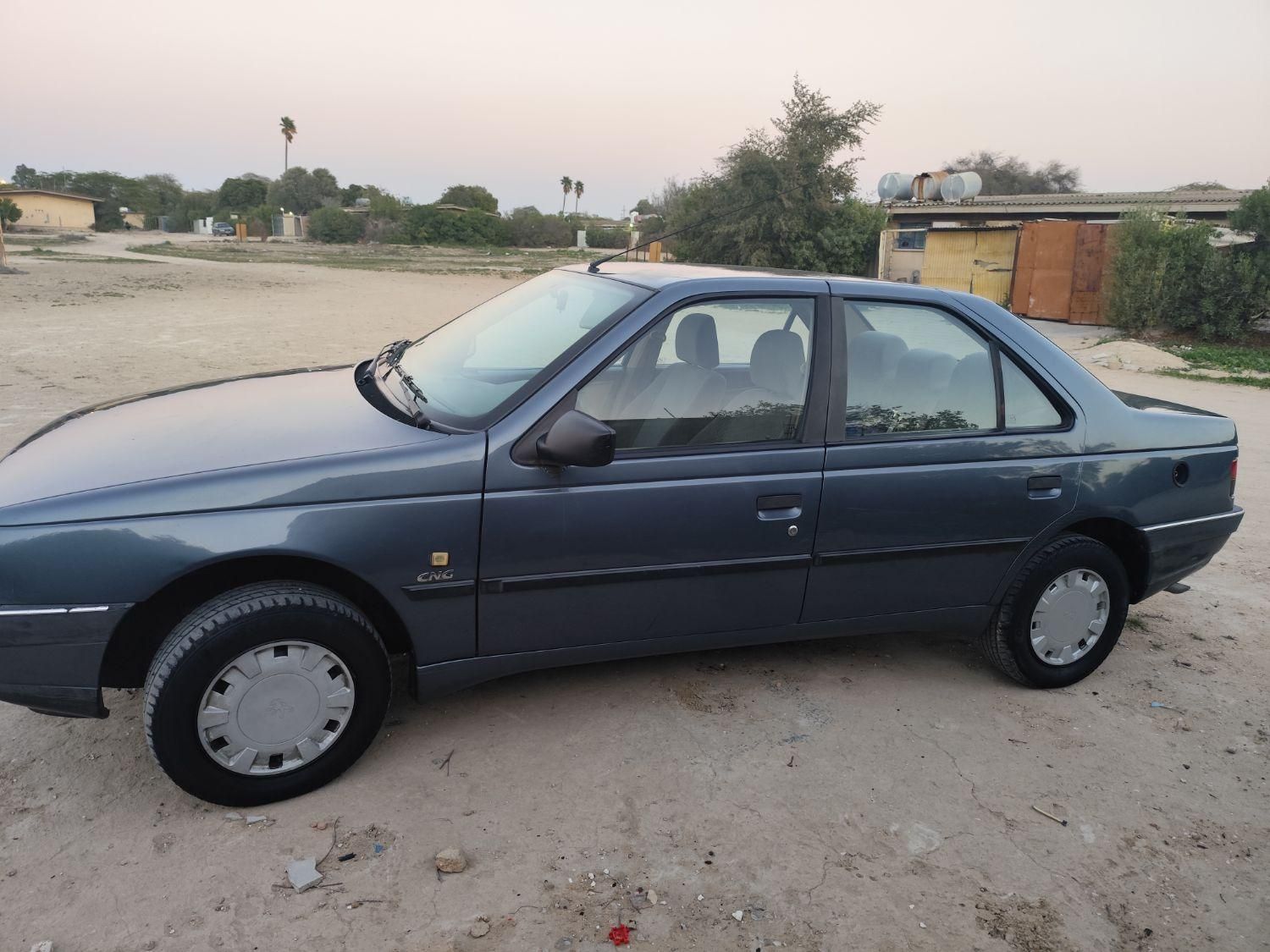 پژو 405 GLI - دوگانه سوز CNG - 1386