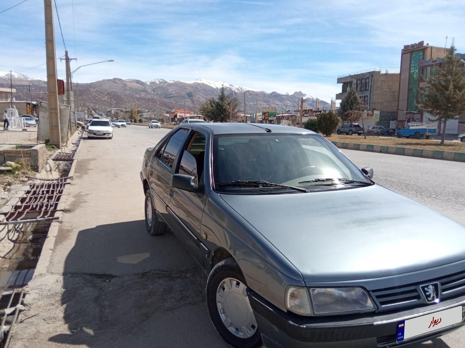 پژو 405 GL - دوگانه سوز CNG - 1369