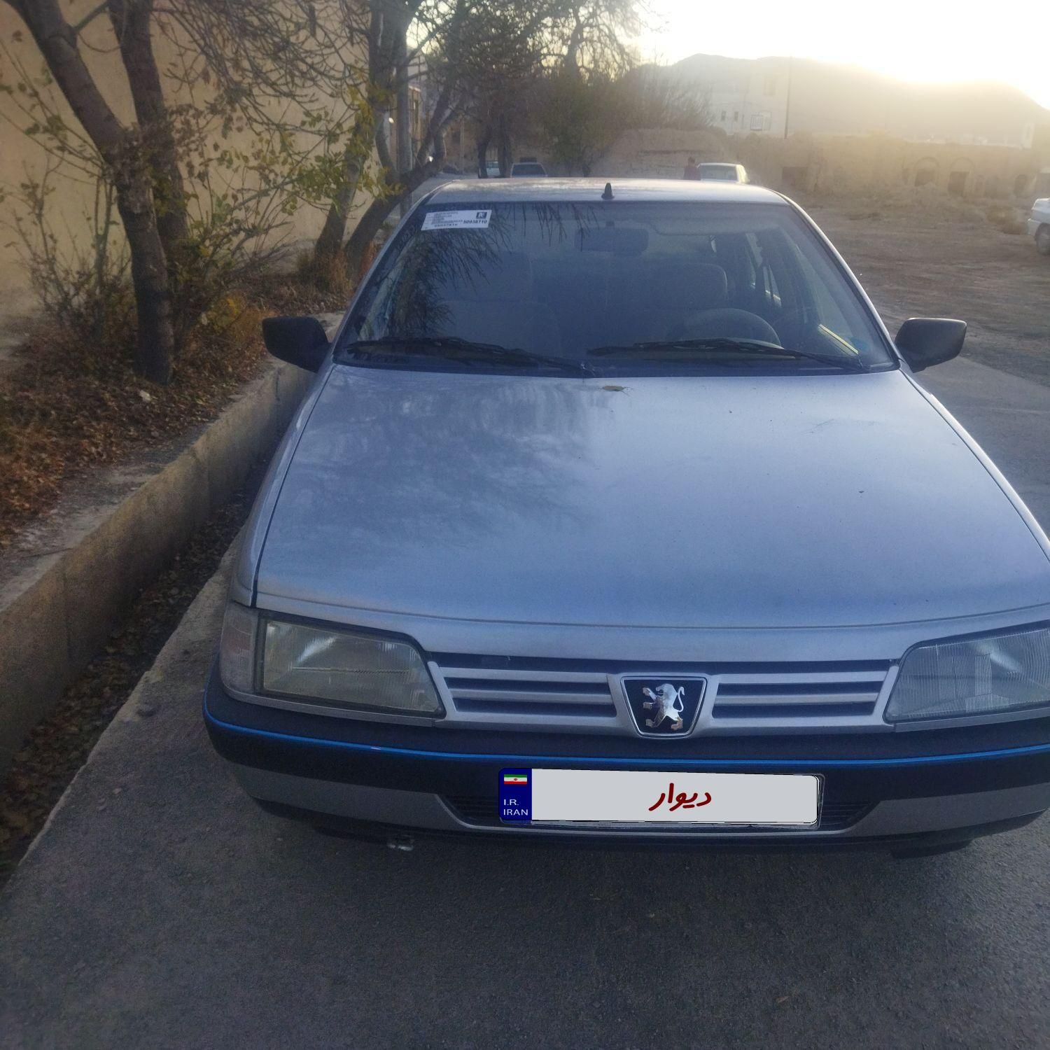 پژو 405 GL - دوگانه سوز CNG - 1369