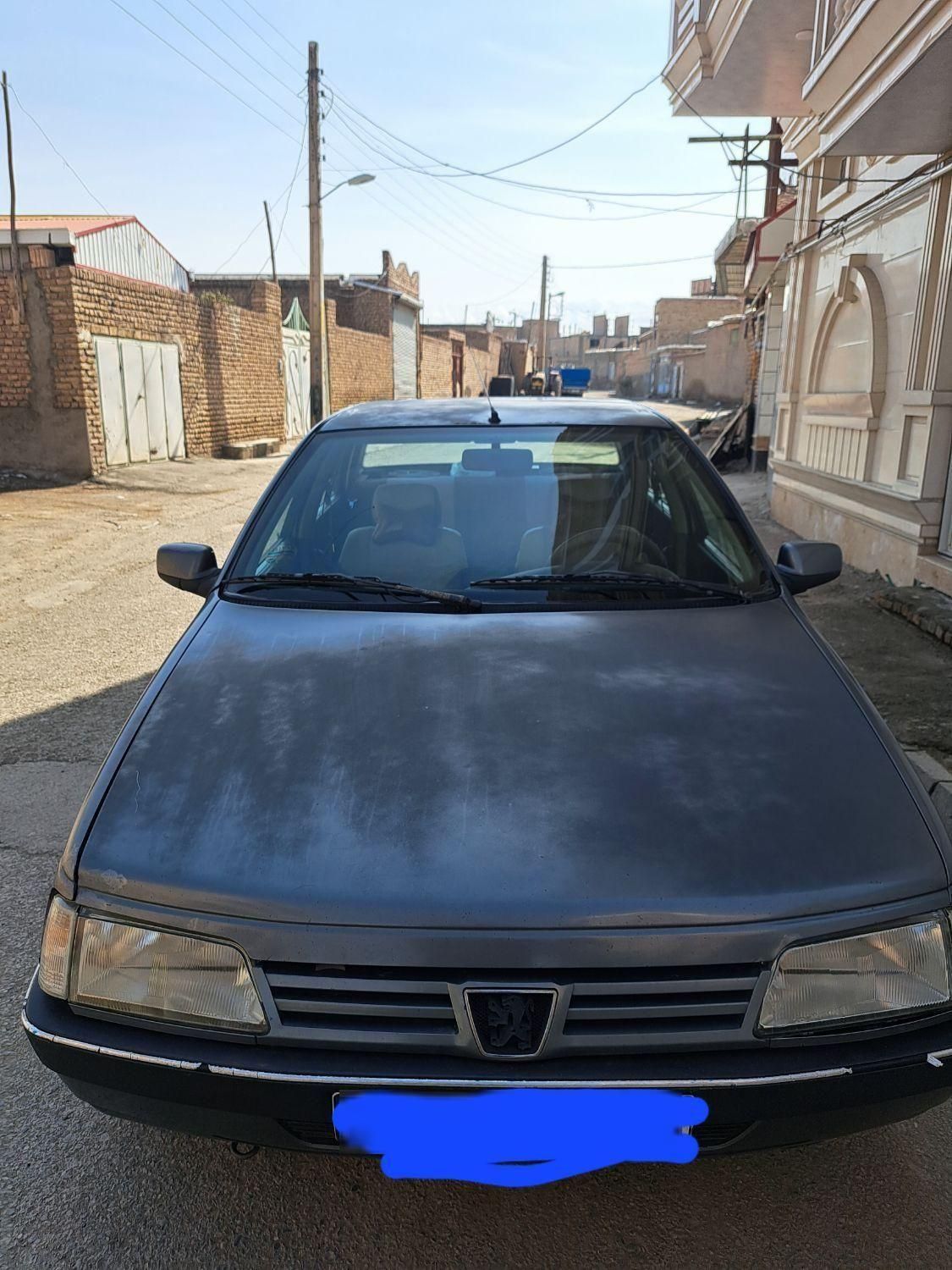 پژو 405 GL - دوگانه سوز CNG - 1370