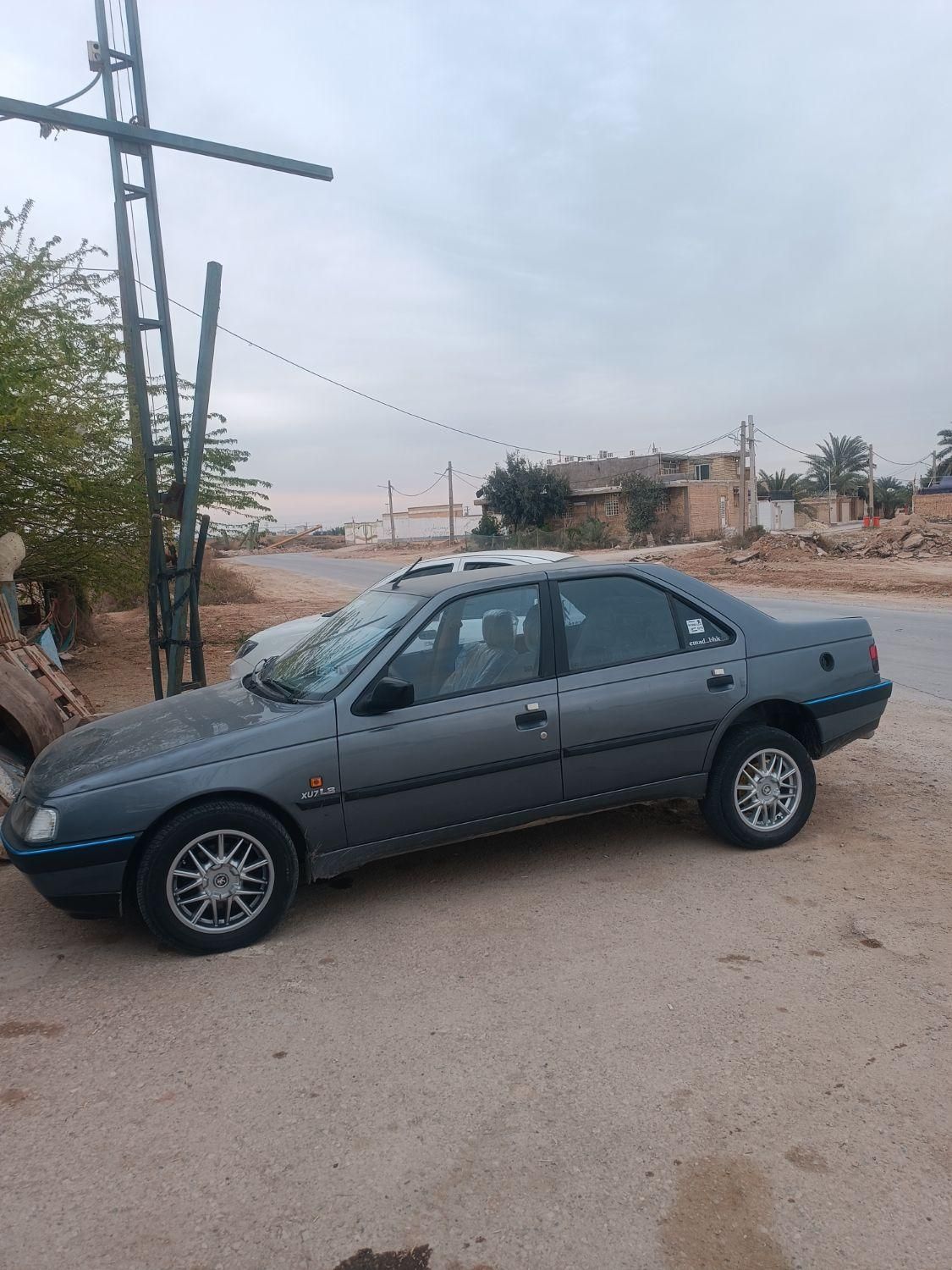 پژو 405 GL - دوگانه سوز CNG - 1369