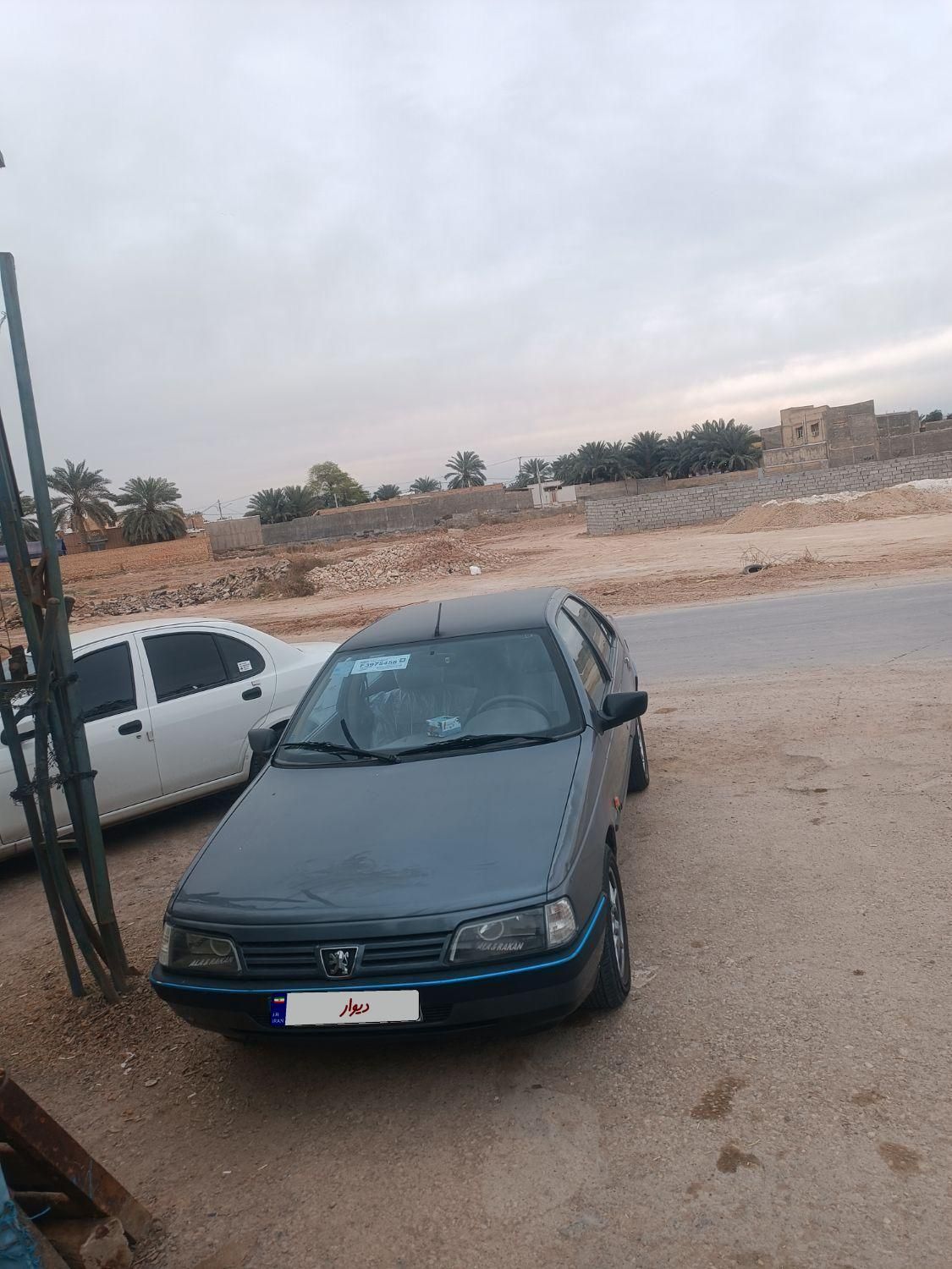 پژو 405 GL - دوگانه سوز CNG - 1369