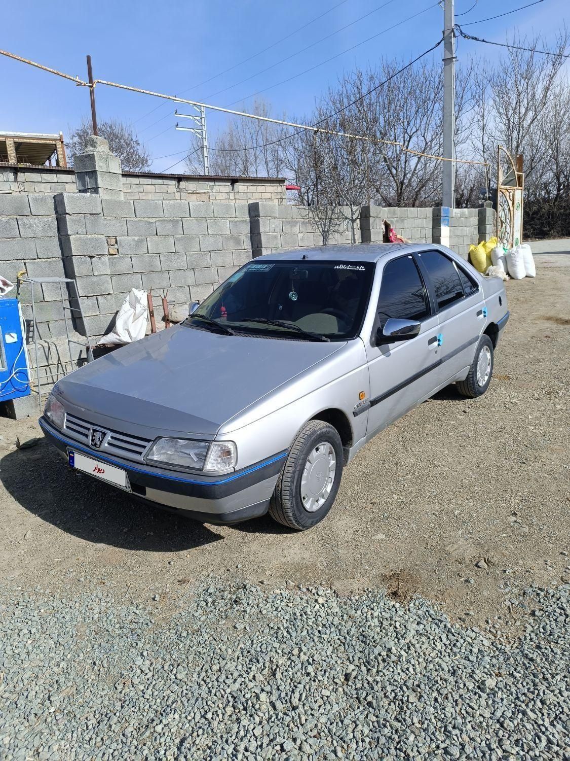 پژو 405 GL - دوگانه سوز CNG - 1369