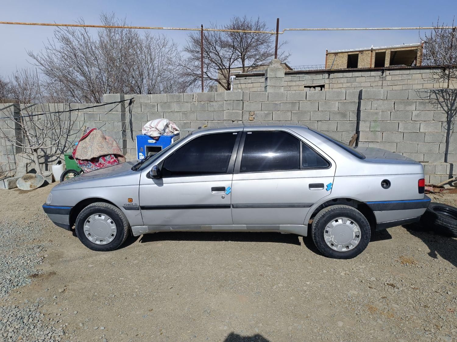 پژو 405 GL - دوگانه سوز CNG - 1369