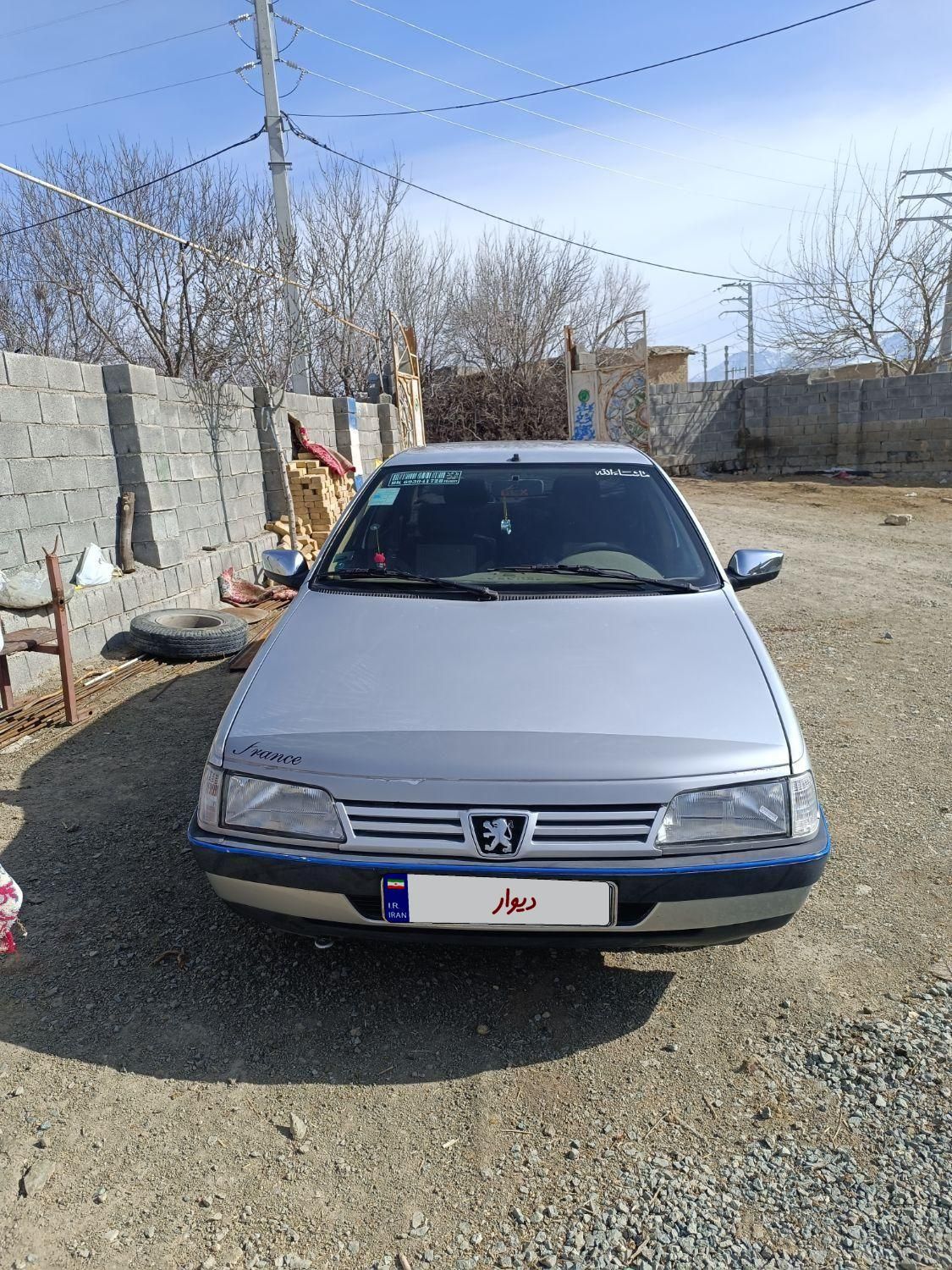 پژو 405 GL - دوگانه سوز CNG - 1369