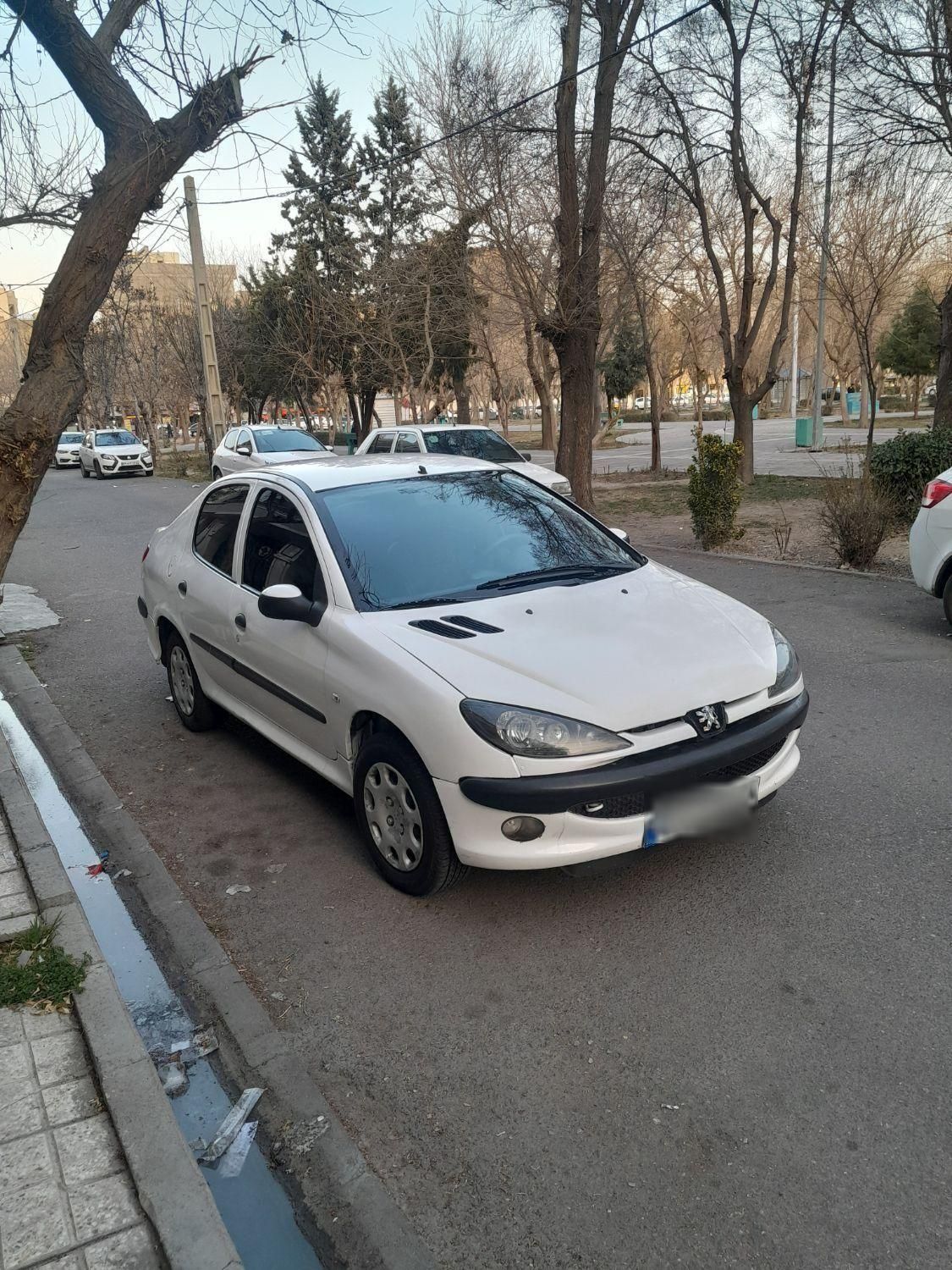 پژو 206 SD v8 - 1396