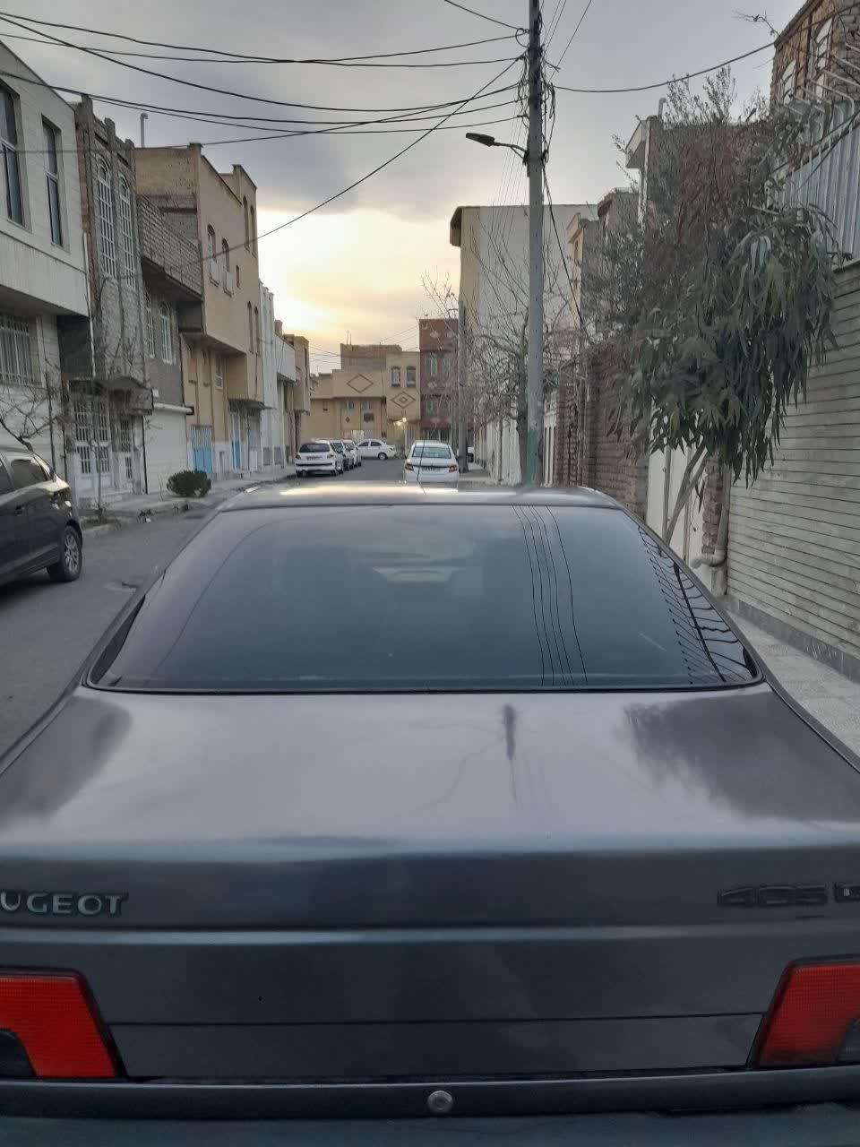 پژو 405 GL - دوگانه سوز CNG - 1369