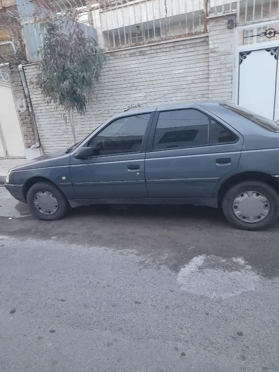 پژو 405 GL - دوگانه سوز CNG - 1369