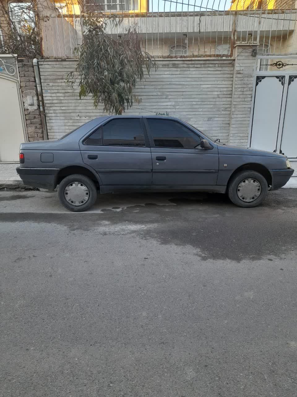 پژو 405 GL - دوگانه سوز CNG - 1369