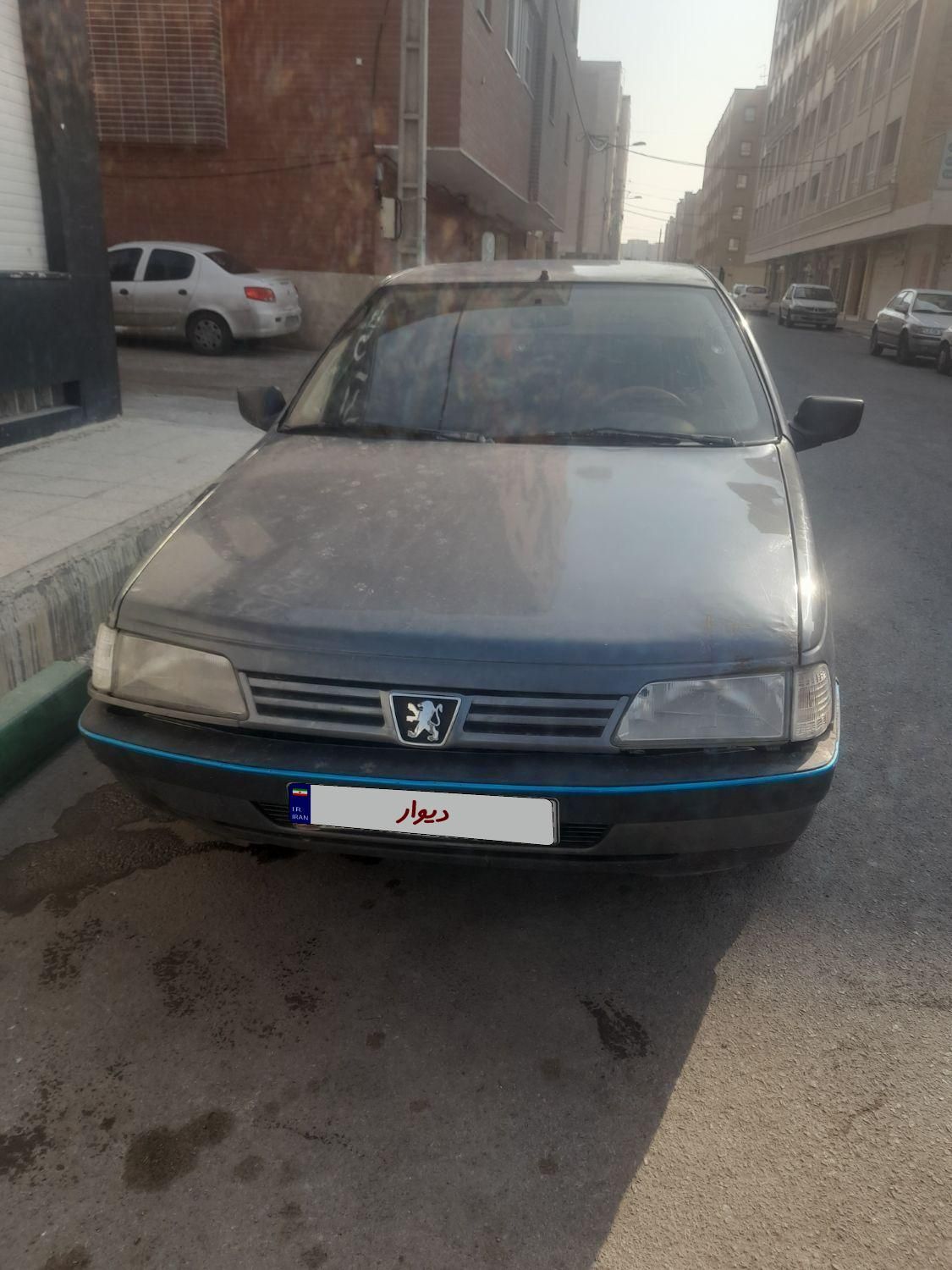 پژو 405 GLX - دوگانه سوز LPG - 1381