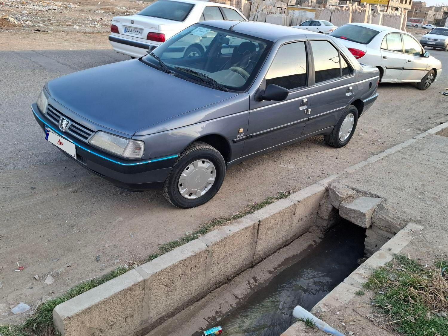 پژو 405 GL - دوگانه سوز CNG - 1369