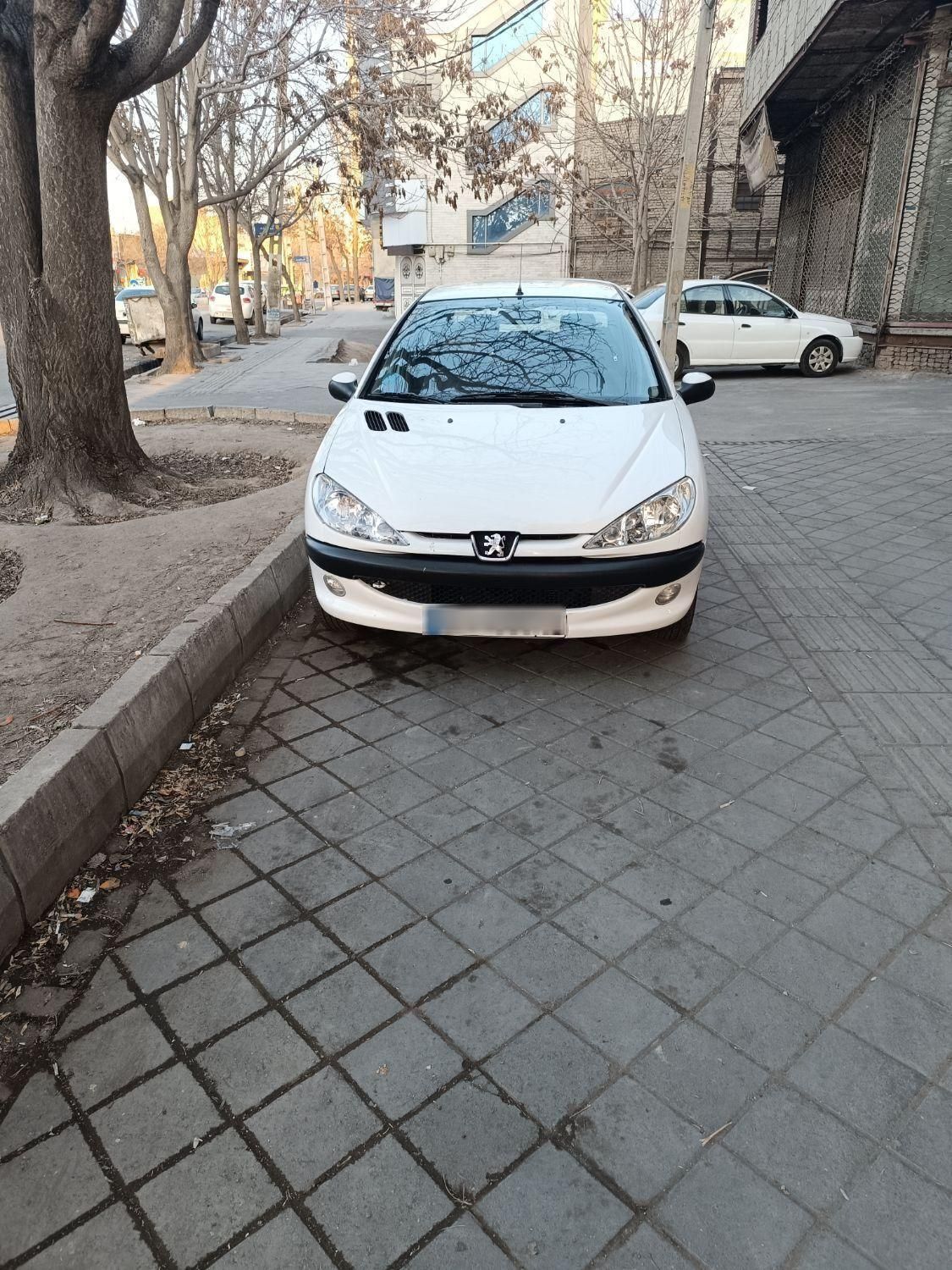 پژو 206 SD v8 - 1390