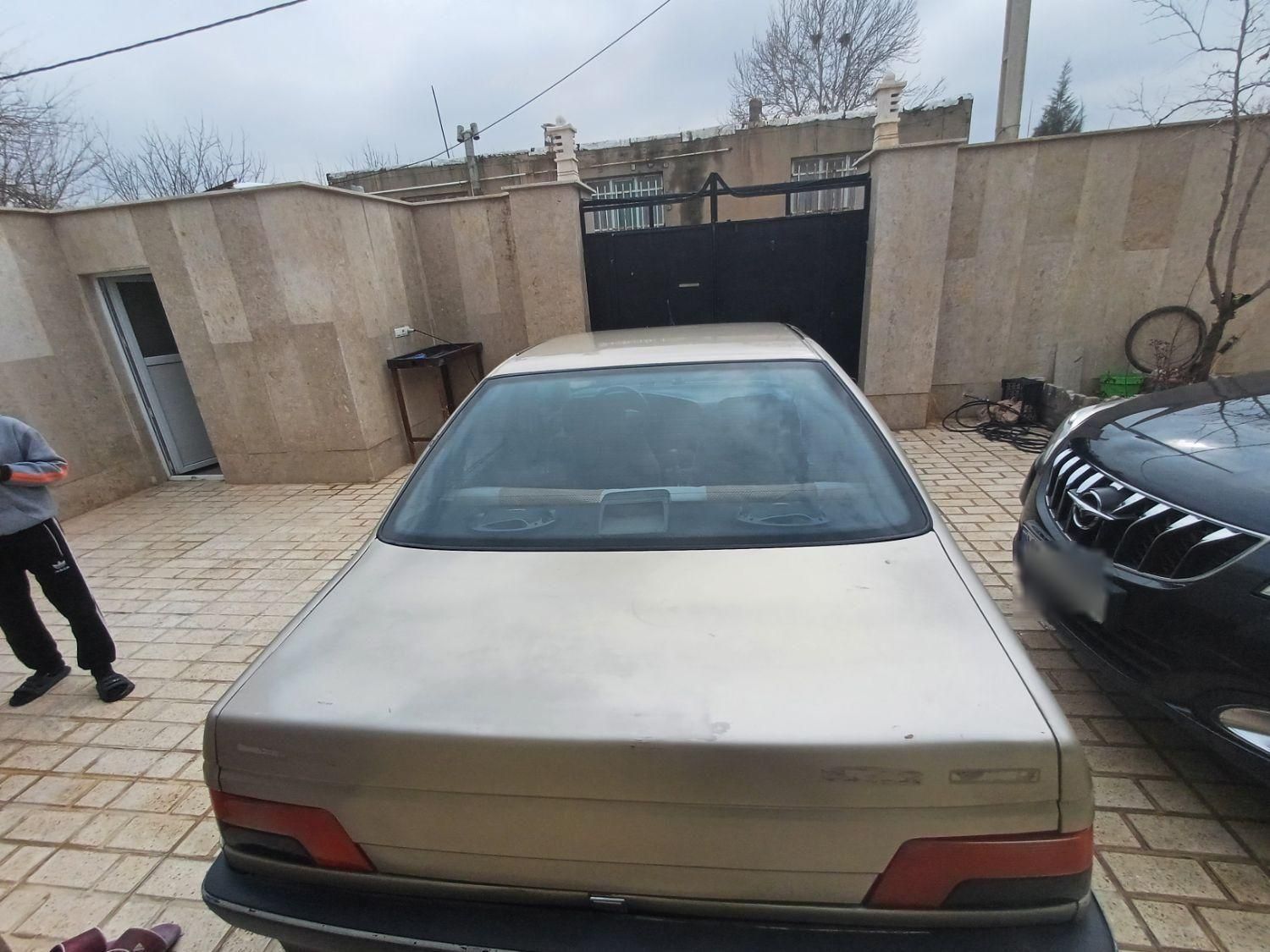 پژو 405 GL - دوگانه سوز CNG - 1373