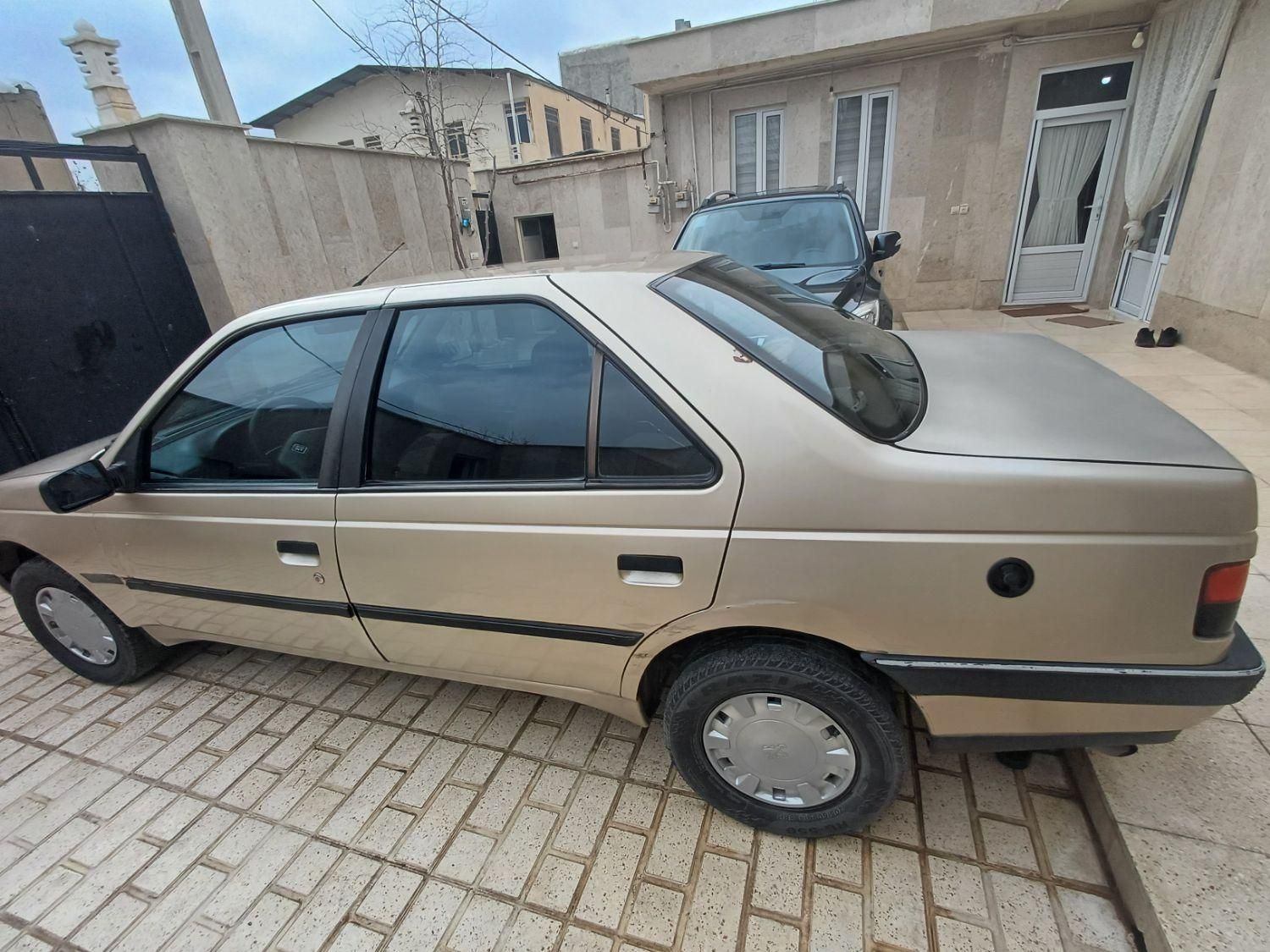 پژو 405 GL - دوگانه سوز CNG - 1373