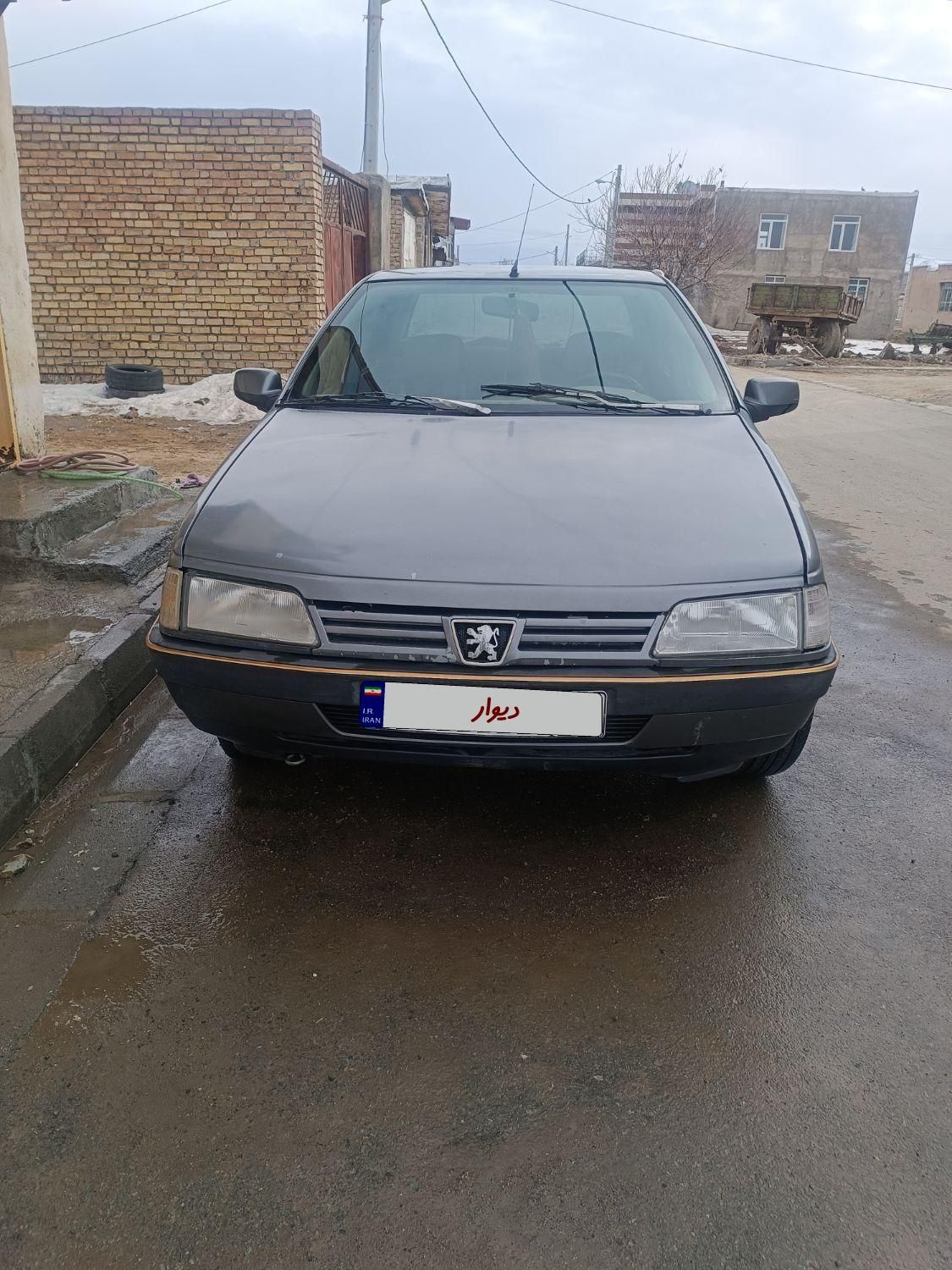 پژو 405 GLI - دوگانه سوز CNG - 1386