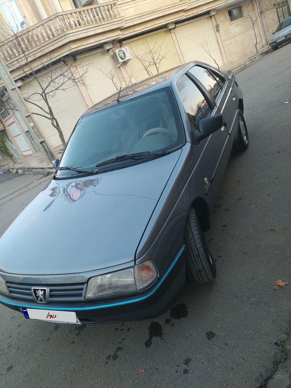 پژو 405 GL - دوگانه سوز CNG - 1371