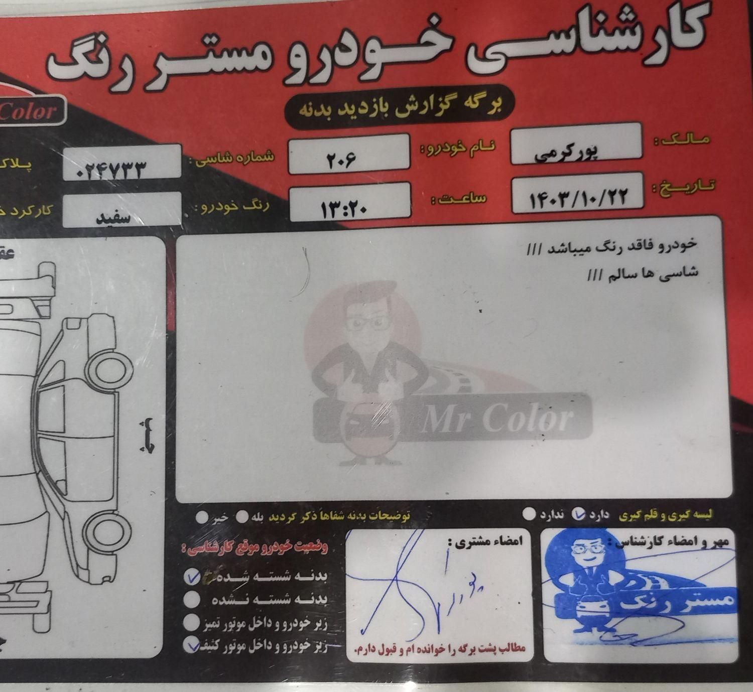 پژو 206 تیپ 2 - 1399