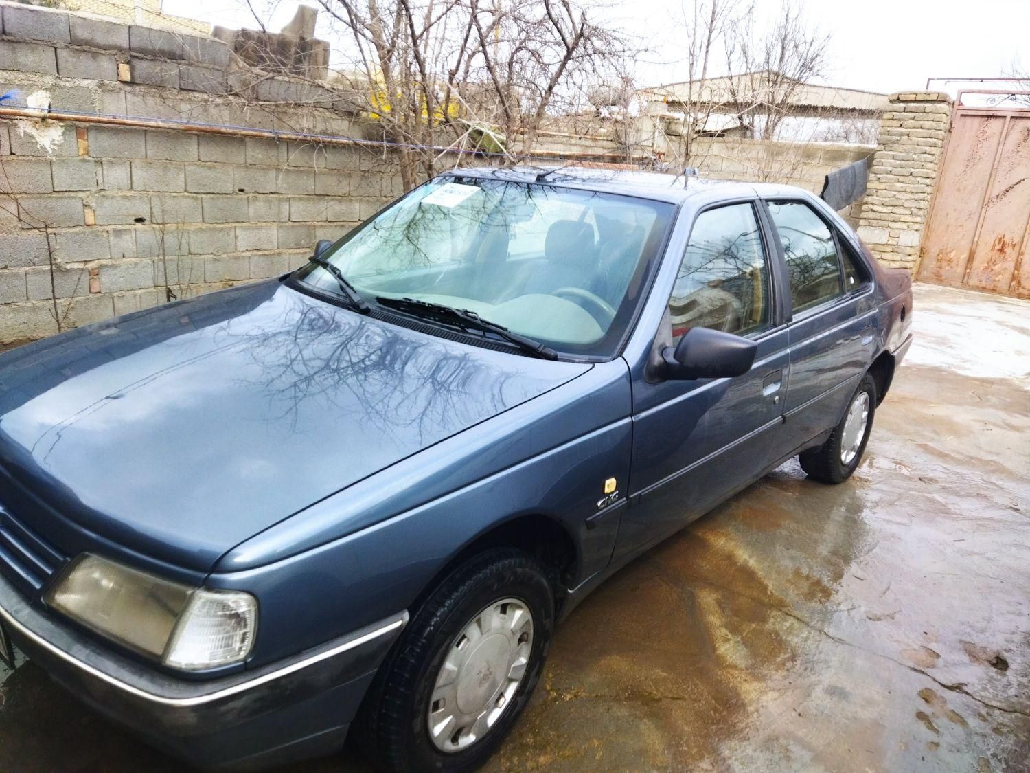 پژو 405 GL - دوگانه سوز CNG - 1370